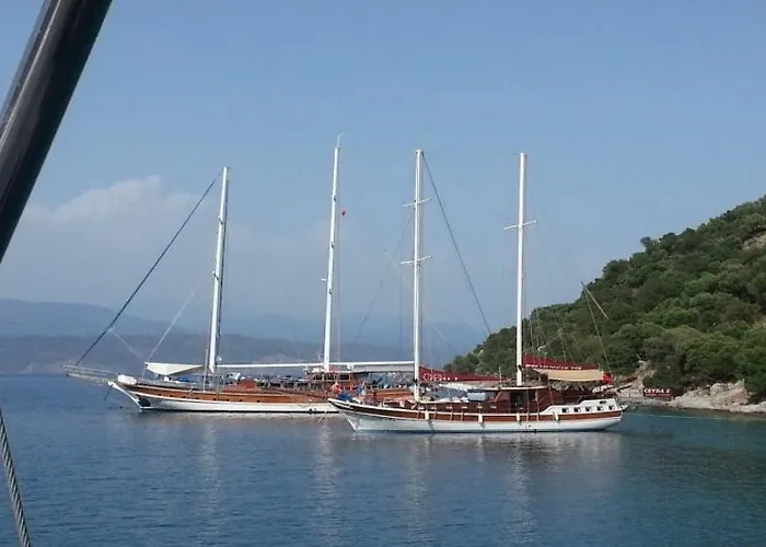 Artemisia Royal Park Club 3*