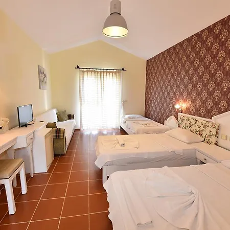 Artemisia Royal Park Club 3* Ολουντενίζ